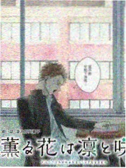 街角食光综艺海报
